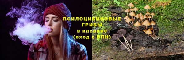 jwh Верея