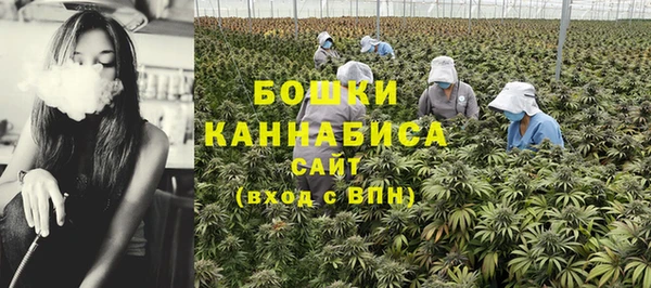 каннабис Бородино