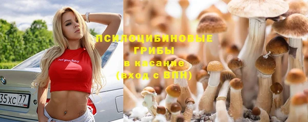каннабис Бородино